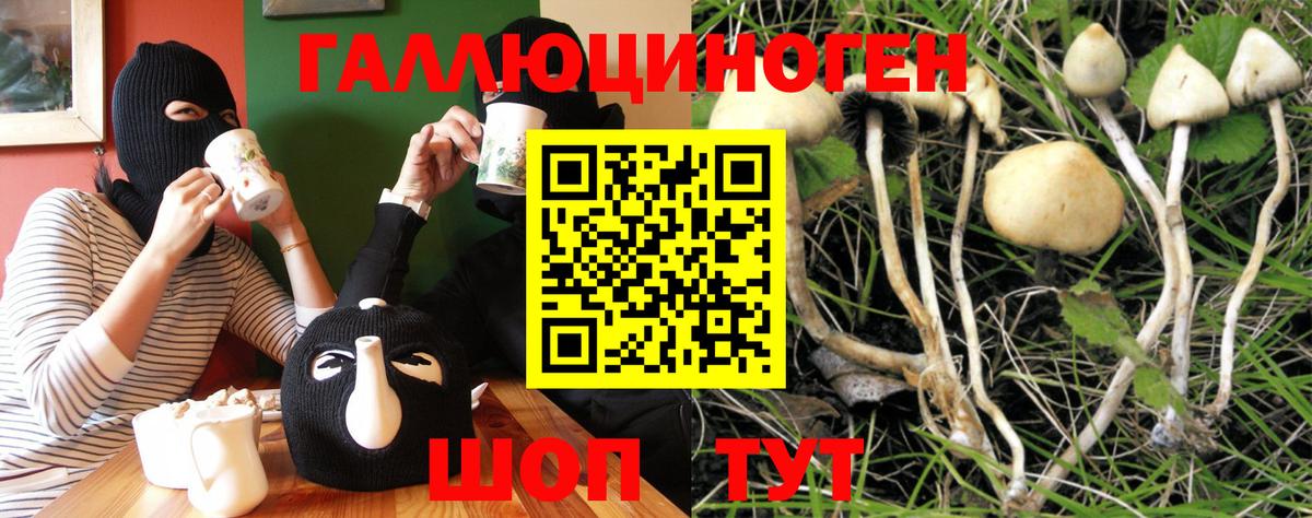 Галлюциногенные грибы мухоморы  Вход с VPN  Чебаркуль 